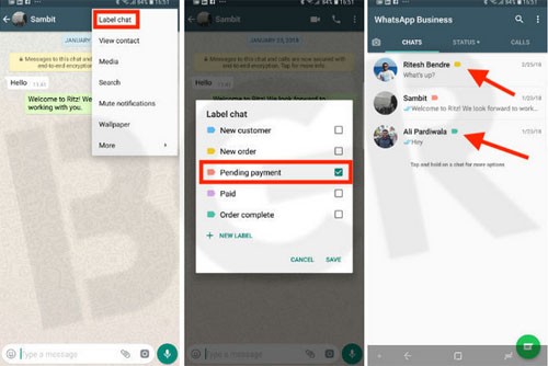 WhatsApp-Business